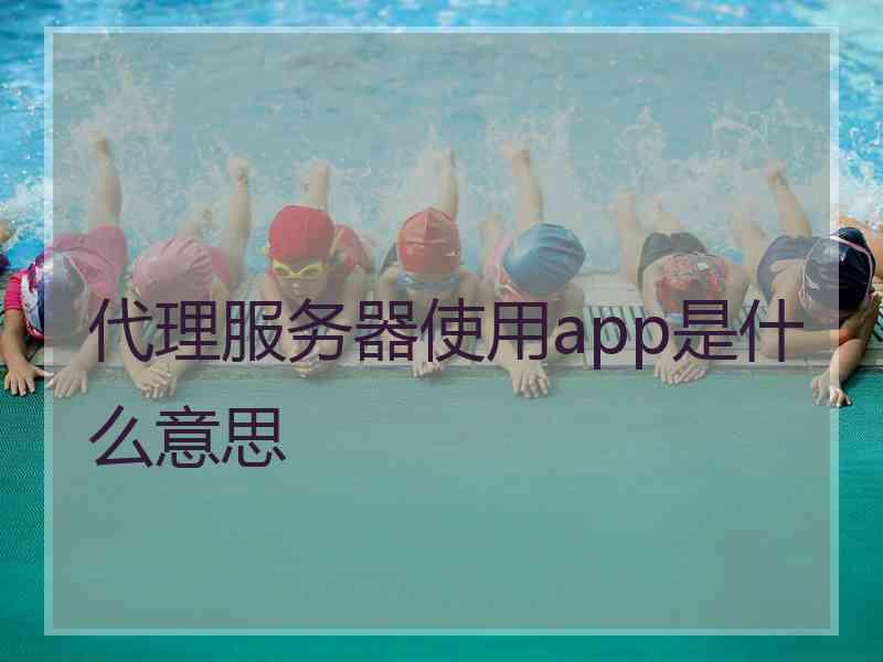 代理服务器使用app是什么意思