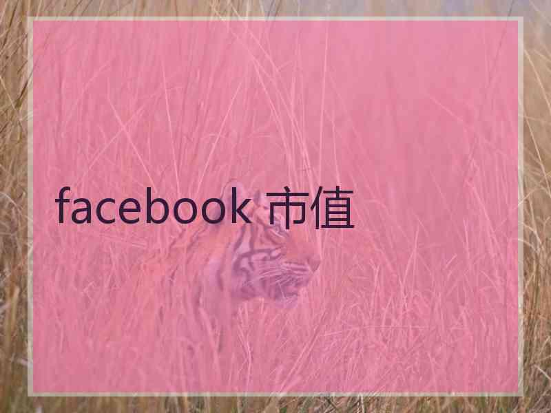 facebook 市值