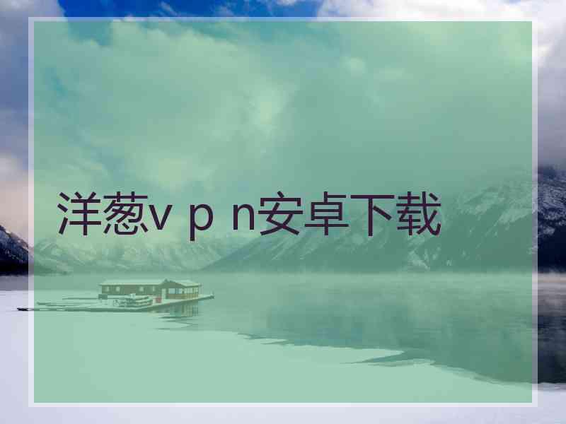 洋葱v p n安卓下载