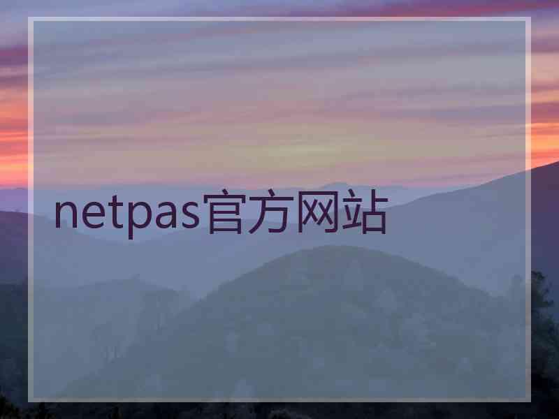 netpas官方网站