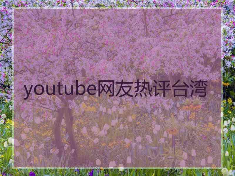 youtube网友热评台湾