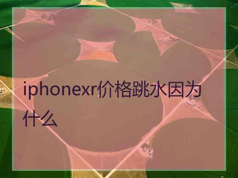 iphonexr价格跳水因为什么