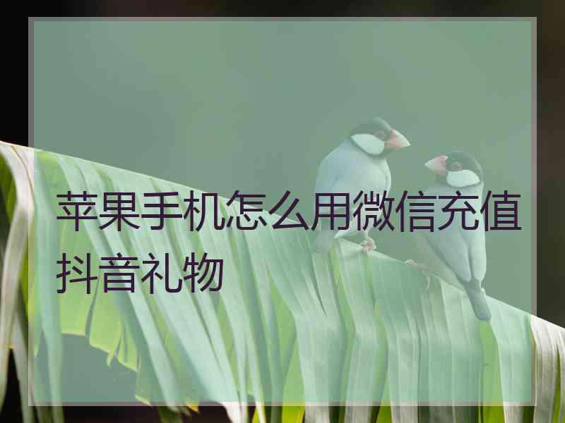 苹果手机怎么用微信充值抖音礼物