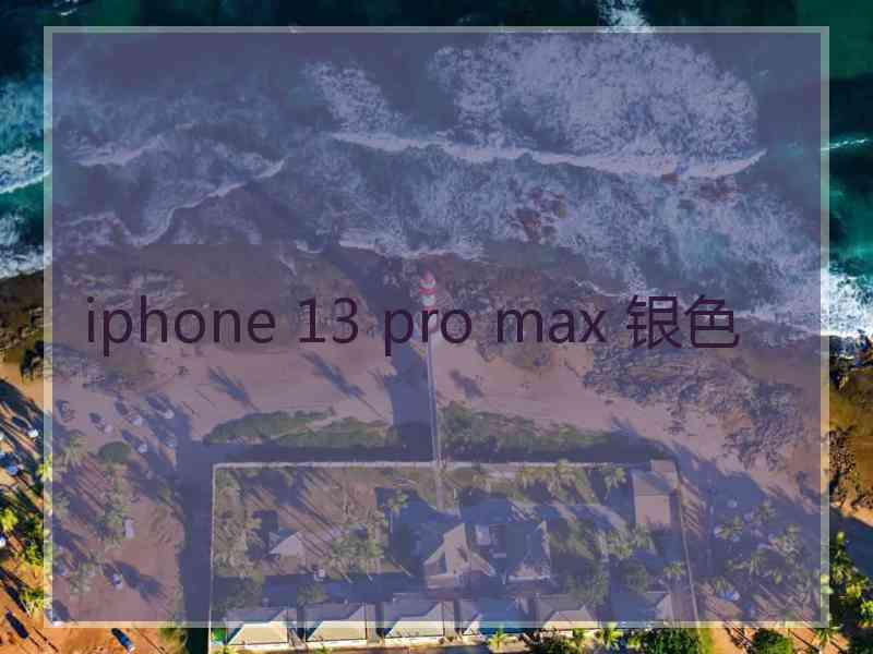 iphone 13 pro max 银色