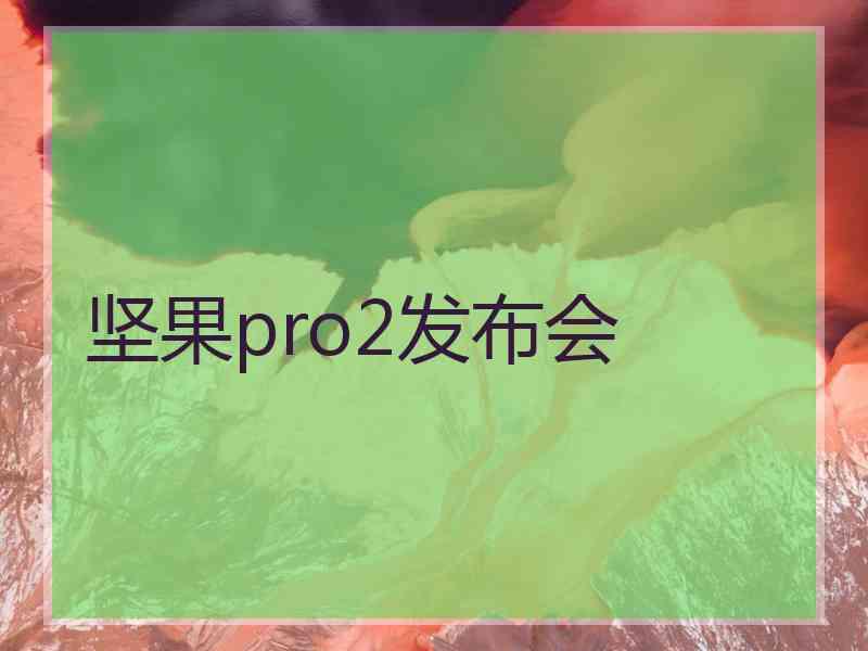 坚果pro2发布会