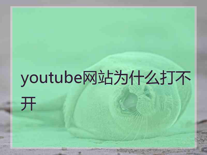 youtube网站为什么打不开