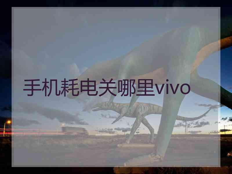 手机耗电关哪里vivo