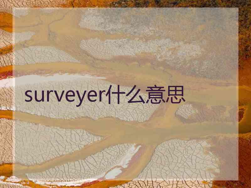 surveyer什么意思