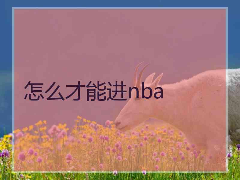 怎么才能进nba