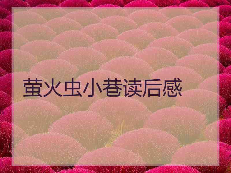 萤火虫小巷读后感