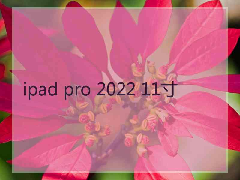 ipad pro 2022 11寸