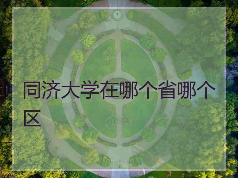 同济大学在哪个省哪个区