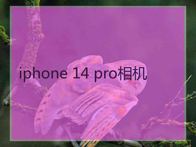 iphone 14 pro相机