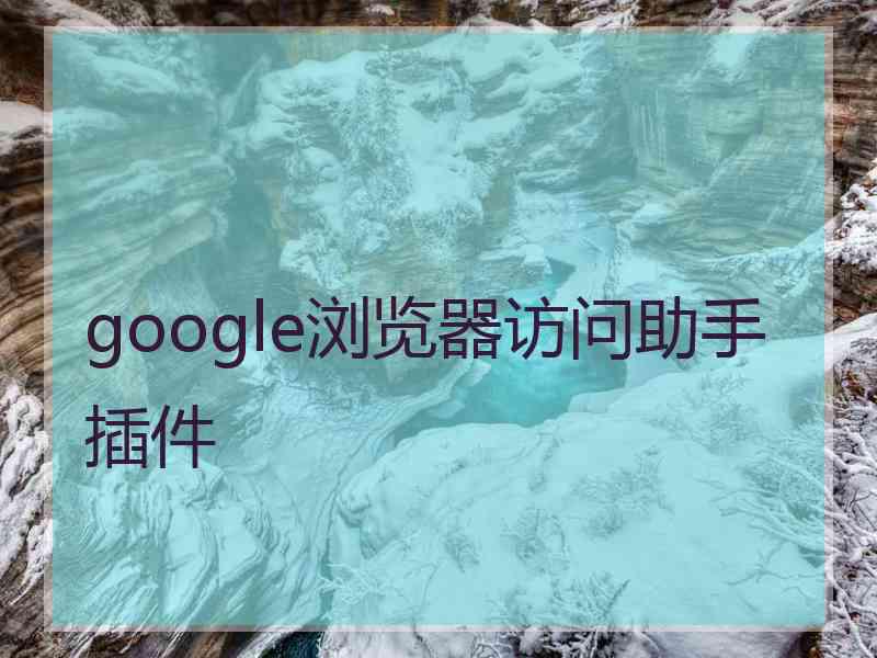 google浏览器访问助手插件