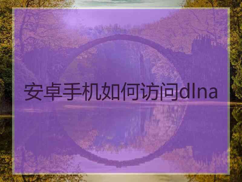 安卓手机如何访问dlna