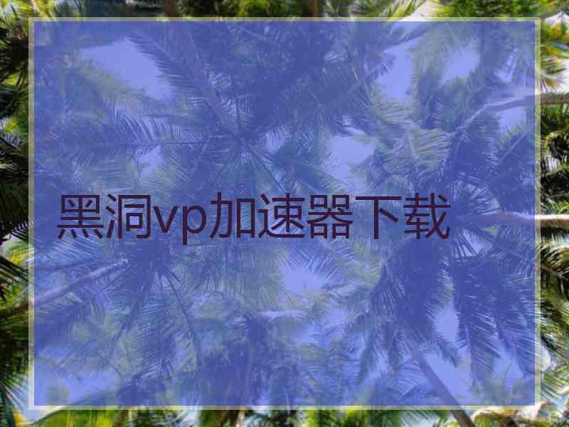 黑洞vp加速器下载