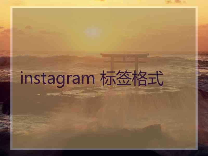 instagram 标签格式