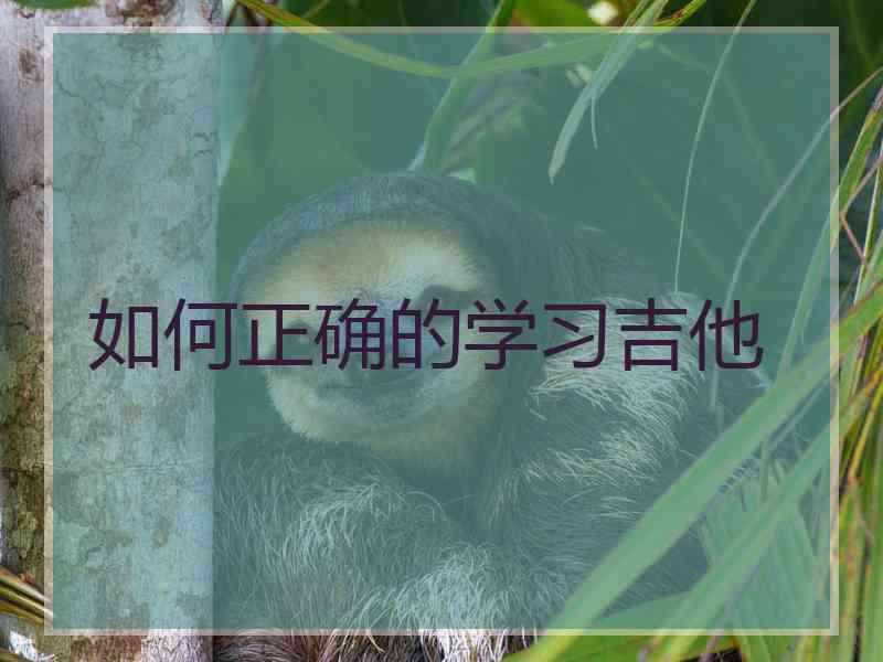 如何正确的学习吉他