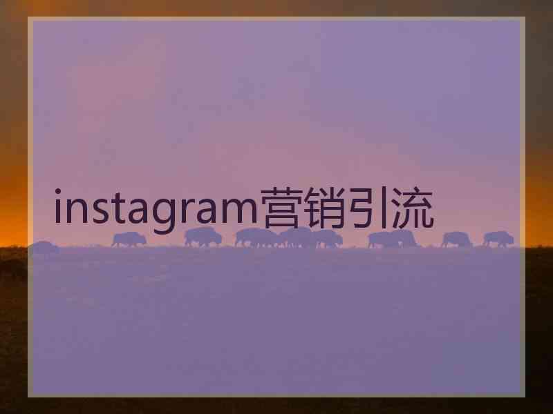 instagram营销引流