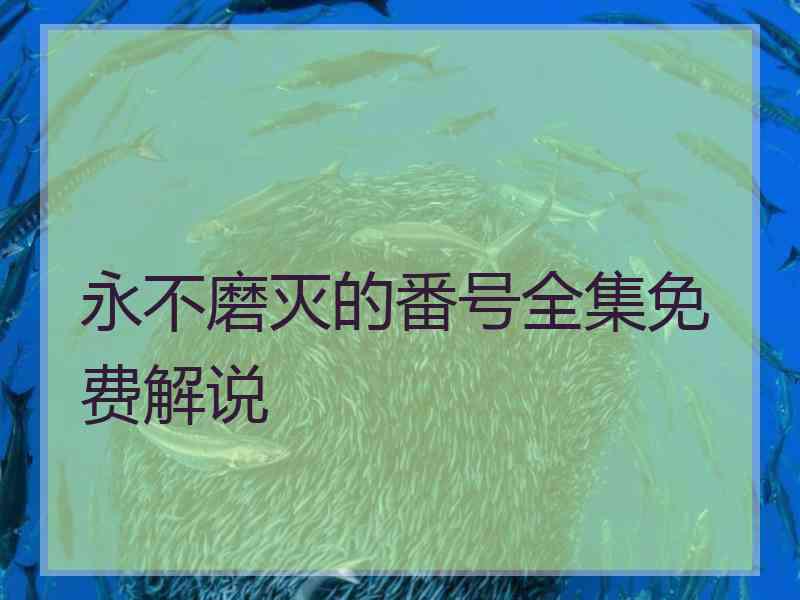 永不磨灭的番号全集免费解说