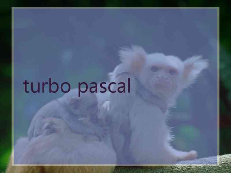 turbo pascal