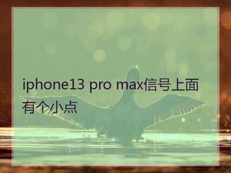 iphone13 pro max信号上面有个小点