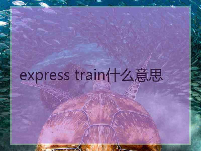 express train什么意思