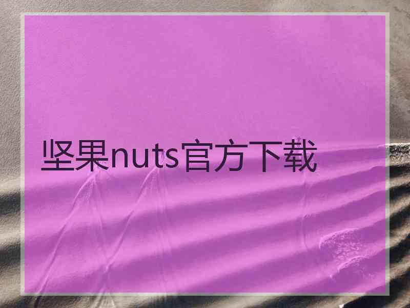 坚果nuts官方下载