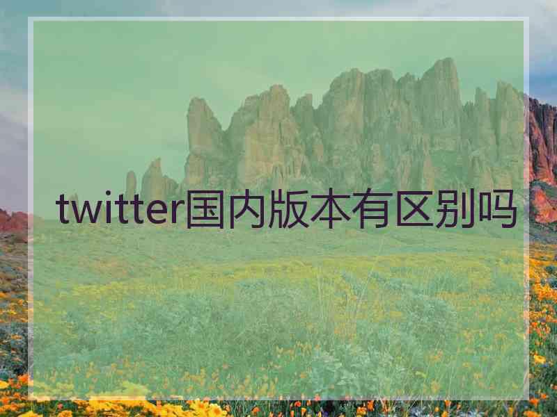 twitter国内版本有区别吗