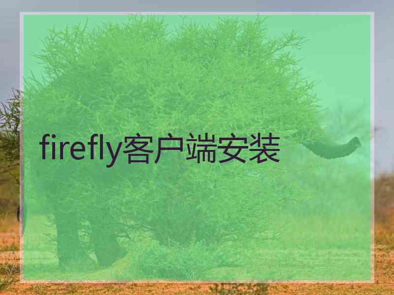 firefly客户端安装