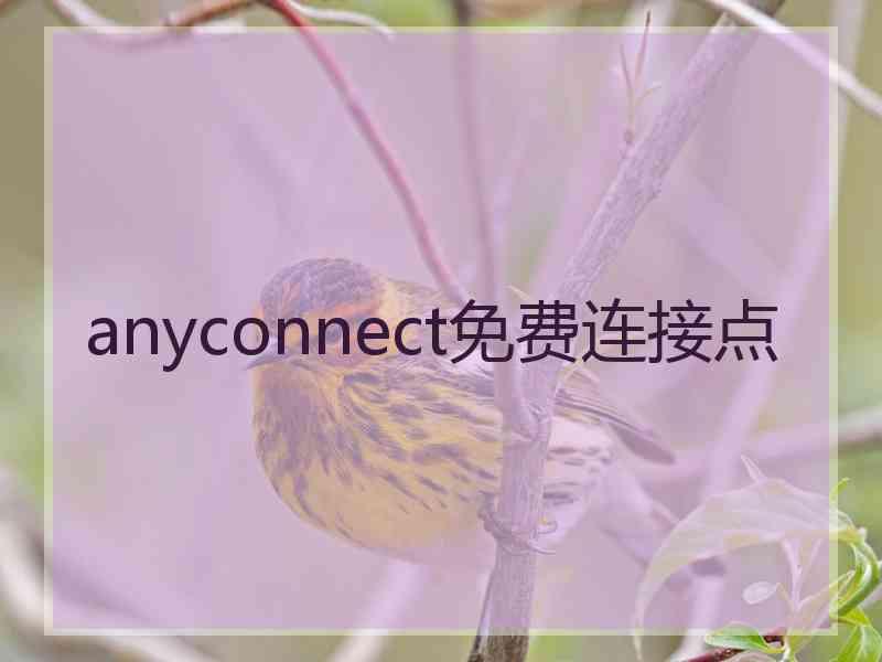 anyconnect免费连接点