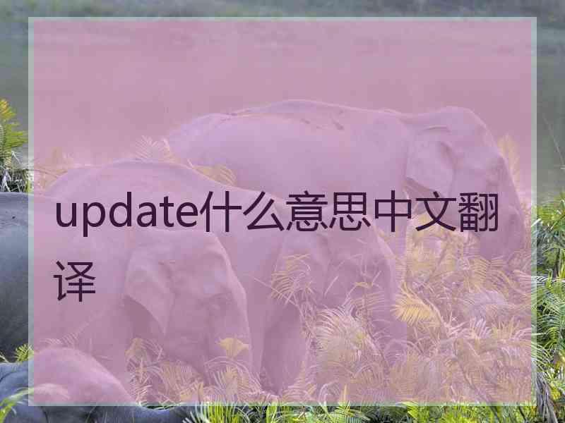 update什么意思中文翻译