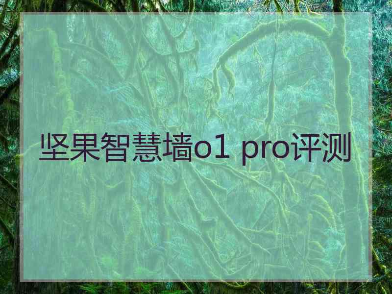 坚果智慧墙o1 pro评测