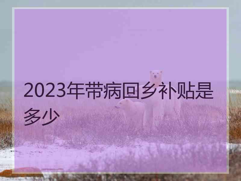 2023年带病回乡补贴是多少