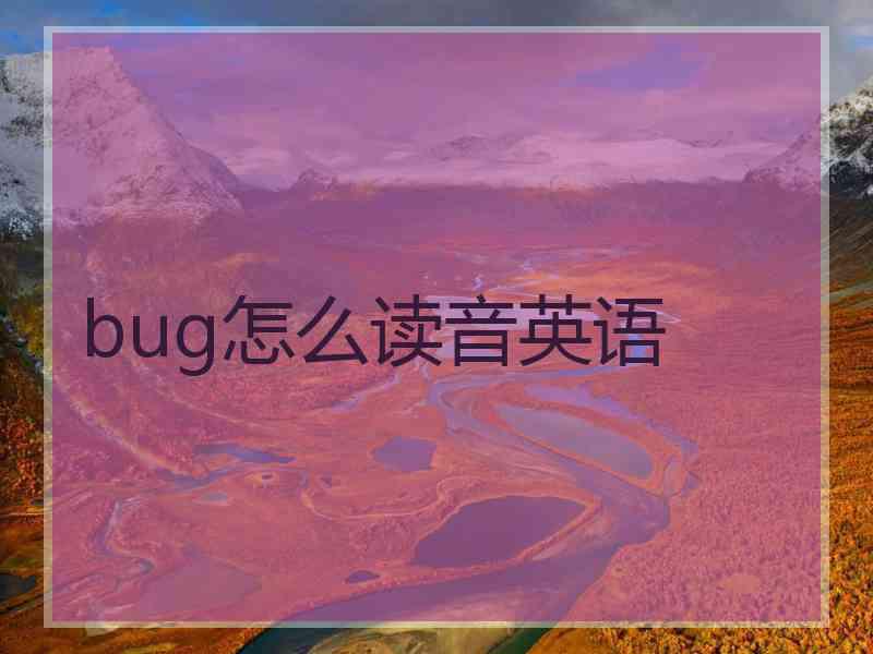 bug怎么读音英语