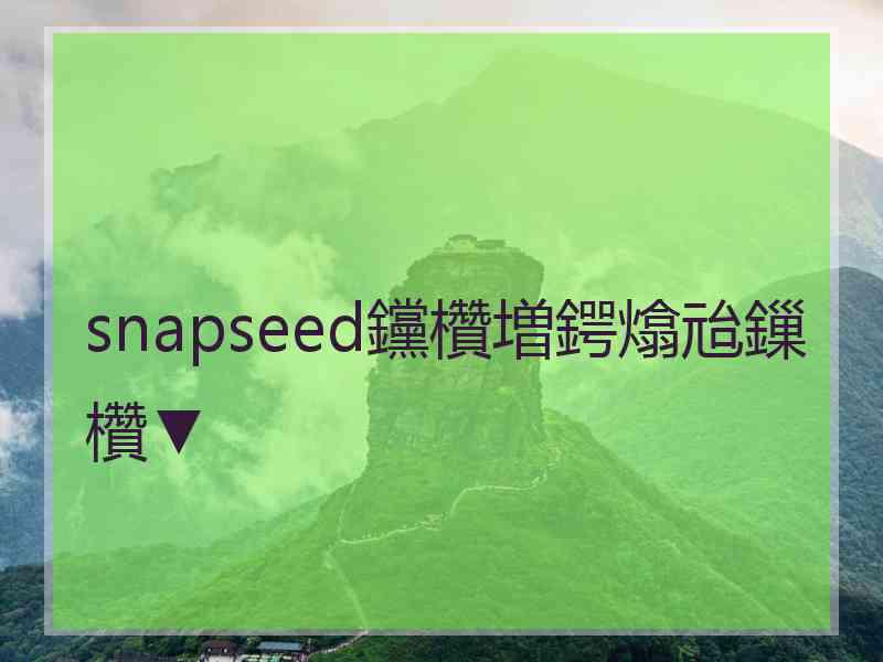 snapseed钂欑増鍔熻兘鏁欑▼