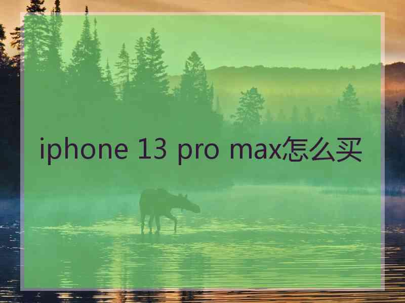 iphone 13 pro max怎么买