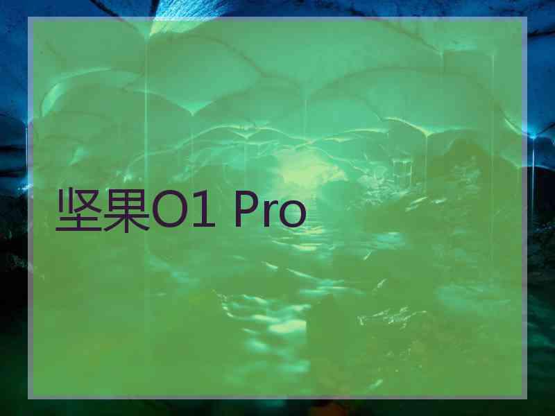 坚果O1 Pro