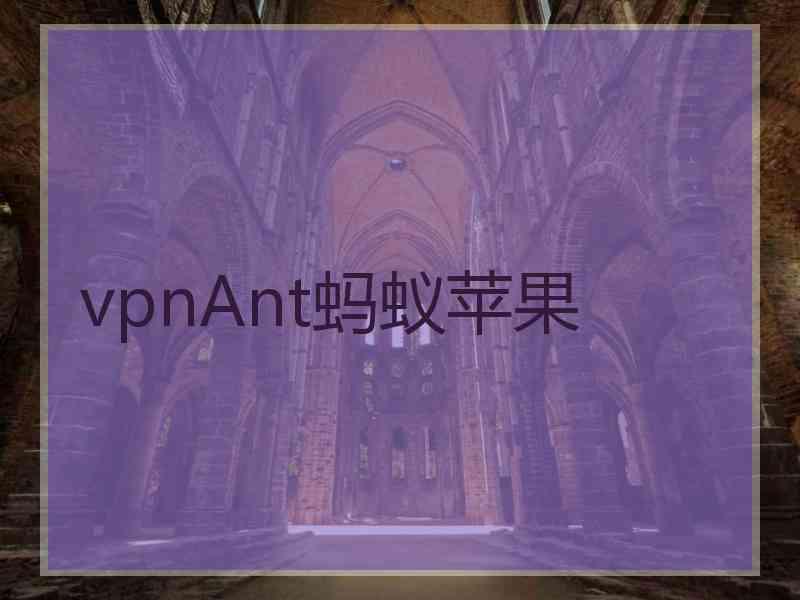 vpnAnt蚂蚁苹果