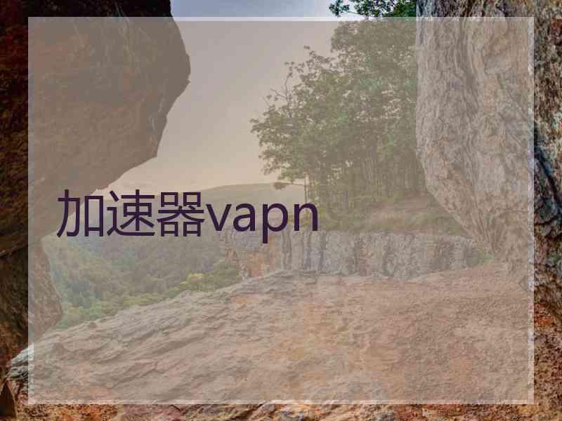 加速器vapn