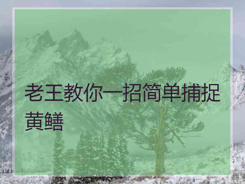 老王教你一招简单捕捉黄鳝