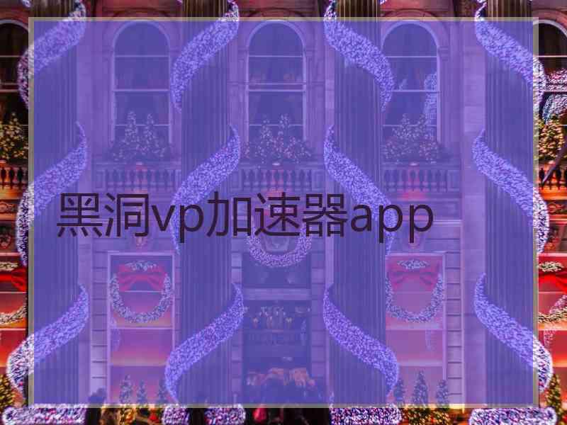 黑洞vp加速器app