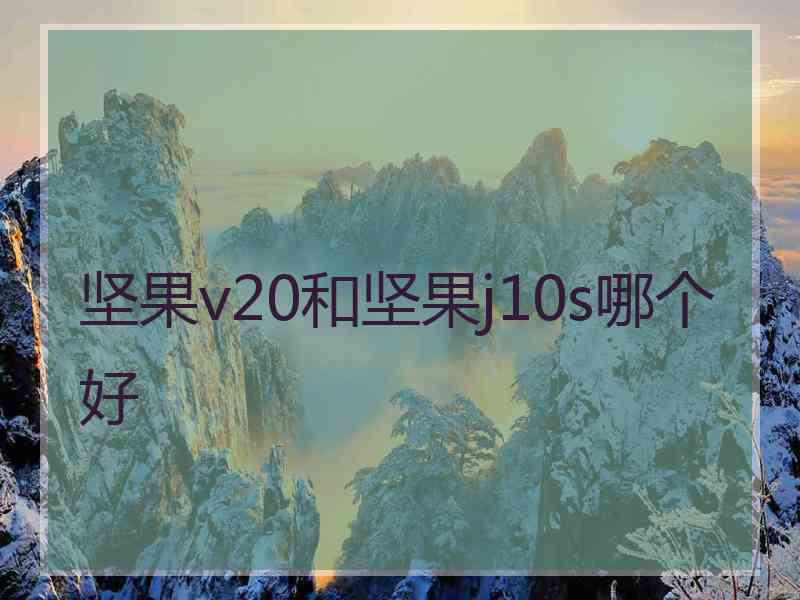 坚果v20和坚果j10s哪个好