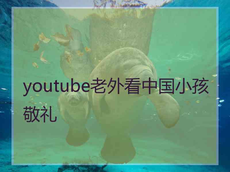 youtube老外看中国小孩敬礼