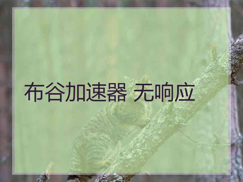 布谷加速器 无响应