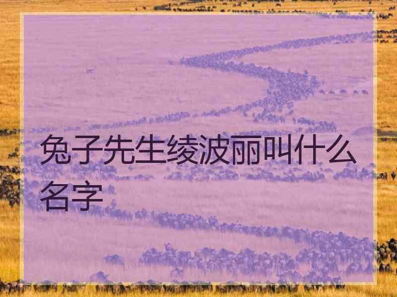 兔子先生绫波丽叫什么名字