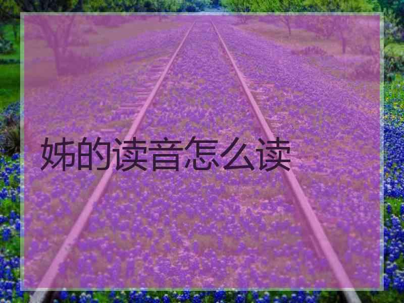 姊的读音怎么读