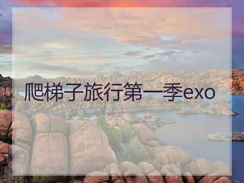 爬梯子旅行第一季exo