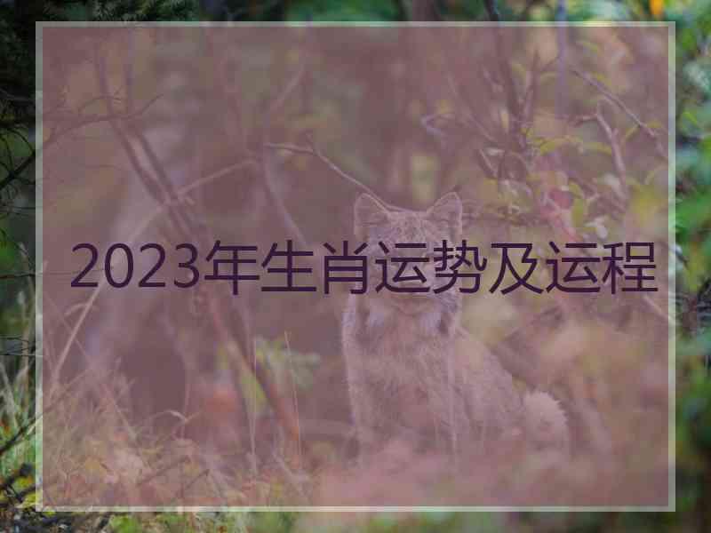 2023年生肖运势及运程