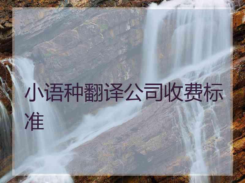 小语种翻译公司收费标准